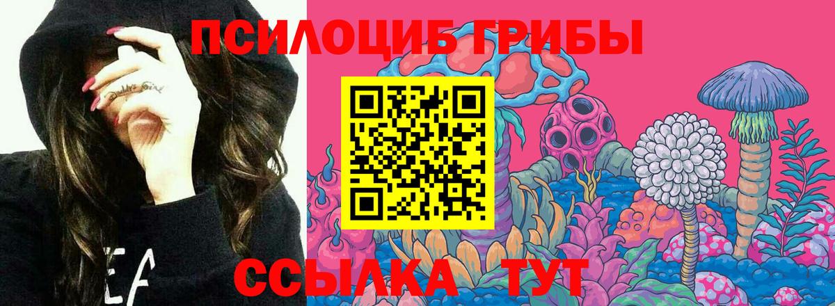 Галлюциногенные грибы GOLDEN TEACHER Славянск-на-Кубани